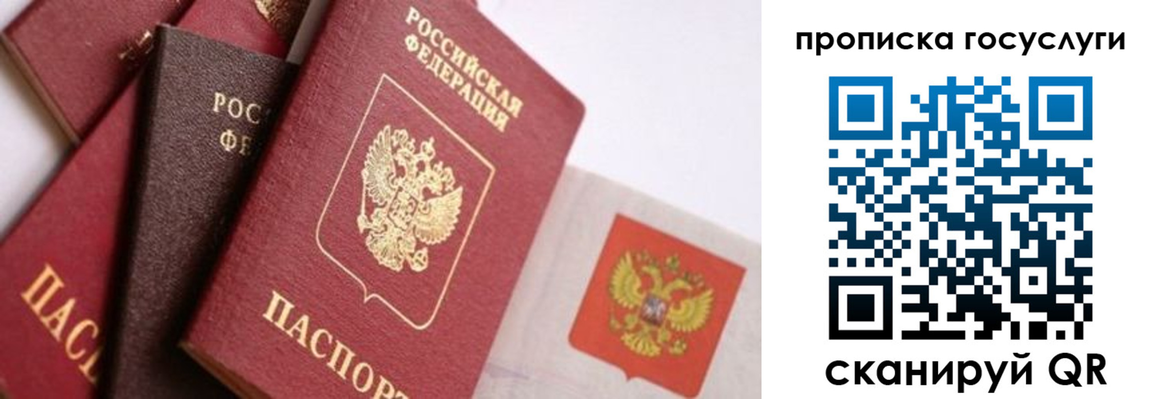 прописка законно в Балее